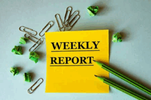 Read more about the article DONALD E.U. EKONG LIBRARY WEEKLY REPORT 1st – 4th SEPTEMBER 2025