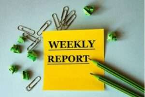 Read more about the article DONALD E.U. EKONG WEEKLY REPORT COMBINED (17TH NOVEMBER, 2025 – JANUARY 2026)